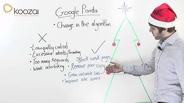 Guide to The Google Panda Update