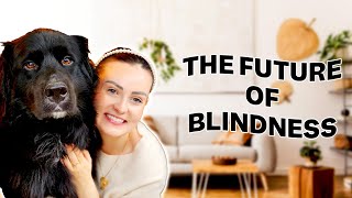 Will Technology Be The Cure For Blindness? (Robotic Guide dogs, Self Driving Cars, VR/AI)