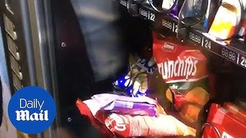 Customers fail to get their food out of a vending machine - Daily Mail