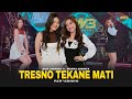 DIKE SABRINA feat. SHINTA ARSINTA - TRESNO TEKANE MATI | New Version | (Official Music Video)