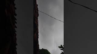 Jutaan capung berterbangan di langit