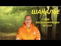 ШАКАЛЬЕ   № 2736