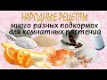 Натуральные подкормки для комнатных растений