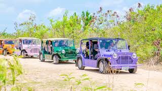 Caribbean Tourism Month - Anguilla