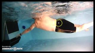 An example of a video analysis session