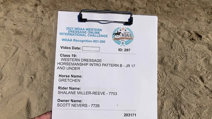 WDAA Online International Challenge - Shalane Miller-Reeve WD Horsemanship Intro Pattern B Junior
