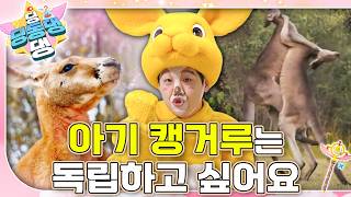 딩동댕 동물병원에 엄마 캥거루와 아기 캥거루가 찾아왔어요! 🦘ㅣ딩동댕 딩동댕ㅣ아기 캥거루는 독립하고 싶어요