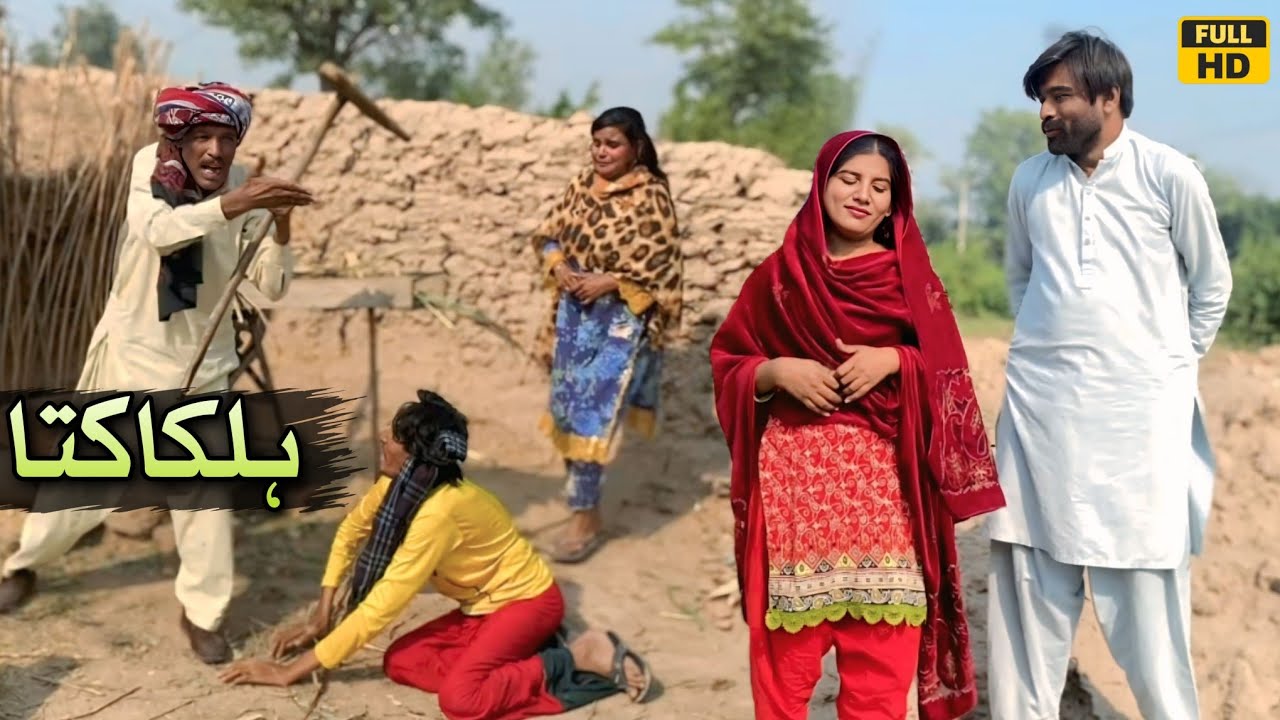 HALKA KUTA//funny video top comedy video Dr wajid tallu Mahnoor Simran jiven malangi pakistani punja