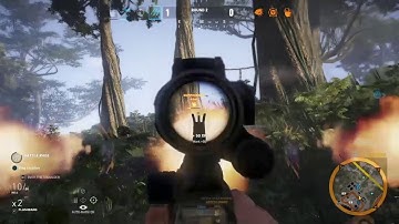 Scott Mitchell in Action