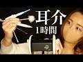 【ASMR】1時間耳介耳かき🌙😪竹/梵天/指/綿棒/ステンレス/Apple Pencil/光る耳かき(後半高速) 1H Earpick 🌙😪