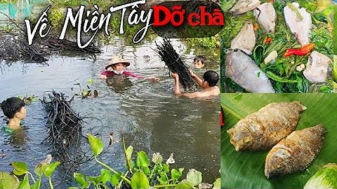 Về quê miền tây dỡ chà bắt cá đồng nấu canh chua dùng bữa cơm đạm bạc