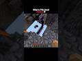 Minecraft Craziest Ruined Portal Seed Moments