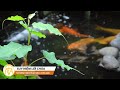 Suy Niệm Lời Chúa | Thứ Năm Tuần V Mùa Phục Sinh (07/05/2026)