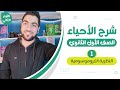 1 أحياء الصف الأول الثانوي الوراثة الدرس الأول النظرية الكروموسومية