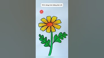 Hướng dẫn vẽ hoa Cúc vàng 🌼 #thienmink1 #artist #drawing #hoacuc #vetranh #art #fyp #foryou #shorts