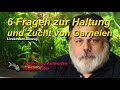 6 Fragen zu Haltung und Zucht von Garnelen