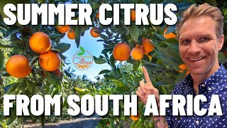 Citrus from South Africa in the USA #citrus screenshot 5