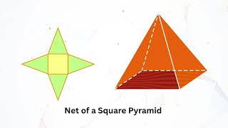 Visualising Solid Shapes | Difference in prism and pyramid
