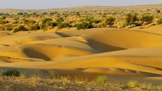 How india is turning its desert into a farmlands oasis
