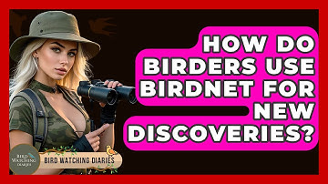 How Do Birders Use BirdNET For New Discoveries? - Bird Watching Diaries