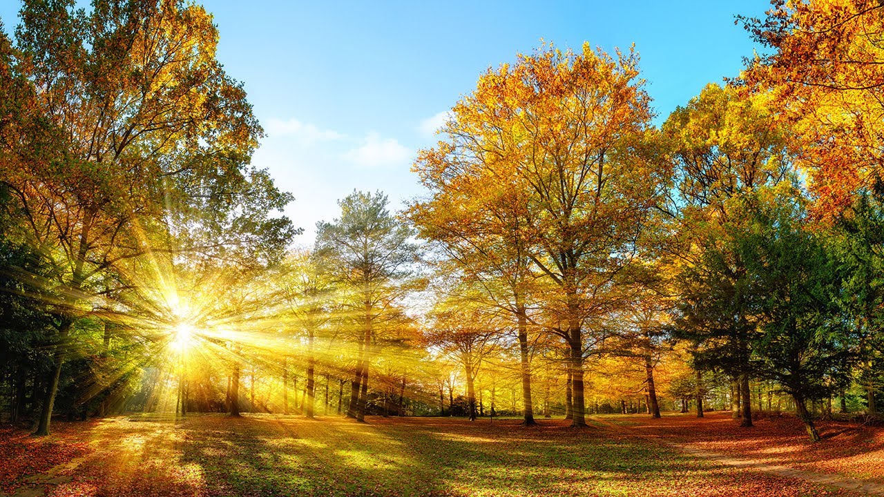 Красивая музыка завораживает душу. Тебе с любовью !