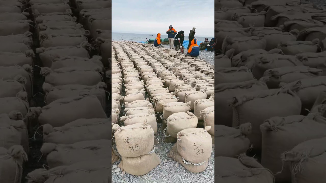 @охотское море 