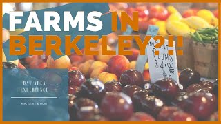 Berkeley Farmers Market