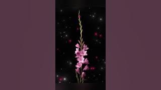 La magie des fleurs.