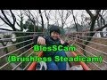 BlesScam (Brushless Steadicam) 2014.1.5