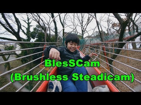 BlesScam (Brushless Steadicam) 2014.1.5
