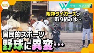 【ウェークアップ11月27日OA】少年野球の競技人口が激減！背景には何が…阪神タイガースの取り組みも