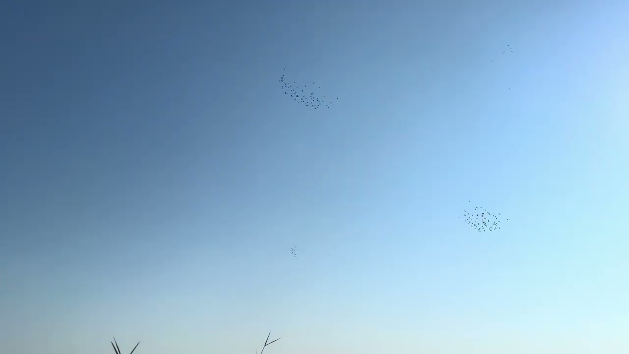 ٢ شباط، ٢٠٢٥