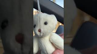 Vanilla Bear Im A Youtuber