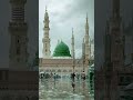 #allah #islam #muhammadﷺ #naat #youtubeshorts