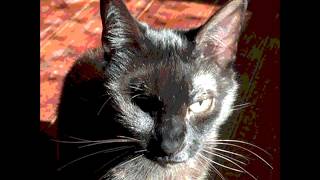 Roxette - The Look Nightcore Remix Resimi