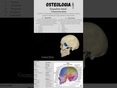 Osteologia - Esqueleto