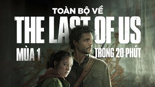 TẤT TẦN TẬT VỀ THE LAST OF US MÙA 1 (TÓM TẮT PHIM)