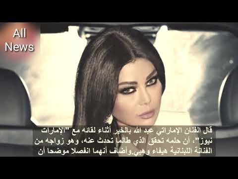 علاقة رجل الاعمال الاماراتي وهيفاء وهبي