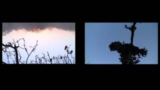 ICARA-ICARA (split-screen, stereo version)