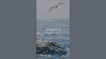القرآن الكريم 🩵 #reels #اكسبلور #راحة_نفسية #quran #الله #قرآن #القرآن_الكريم #تجويد #ريلز #تلاوة