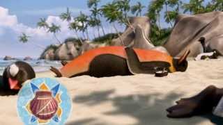 Лови Волну Surfs Up Blu Ray Menu