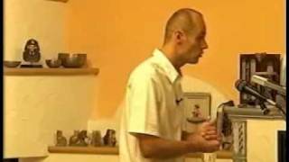 Teil 13 Von 29 - Peter Ferreira - Wasser Und Salz - Heilkunde. Ernährung.mp4