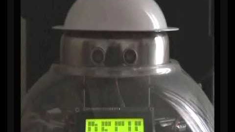 One wheel balancing robot