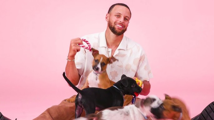 Steph Curry defaced a government record #short #story #puppyinterview  #stephencurry - YouTube