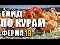 ГАЙД по КУРАМ Farming Simulator 19 | РАЗВОДИМ КУР В Ферме 19