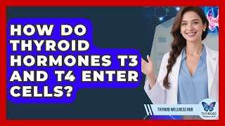 How Do Thyroid Hormones T3 And T4 Enter Cells? - Thyroid Wellness Hub