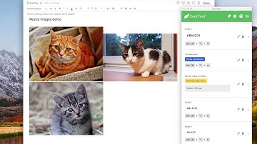 Resize images to the same width (Mac) - EverTool