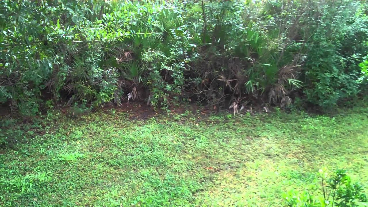 Oil Well Road Home Punta Gorda Fl B Ziegler YouTube