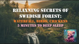 Relaxning Secrets of Swedish Forest: Waterfall, Birds, Chickens | Relaxation, Meditation, WhiteNoise