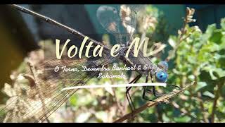 O Terno, Devendra Banhart & Shintaro Sakamoto - "Volta e Meia" (sub. español & lyrics)
